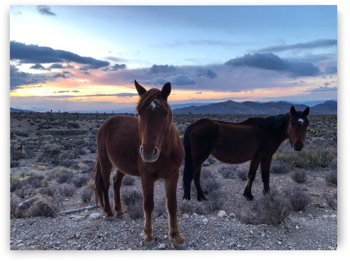 86C760E4 B194 4EB3 A3DB B47F2C02F378 by Andy W