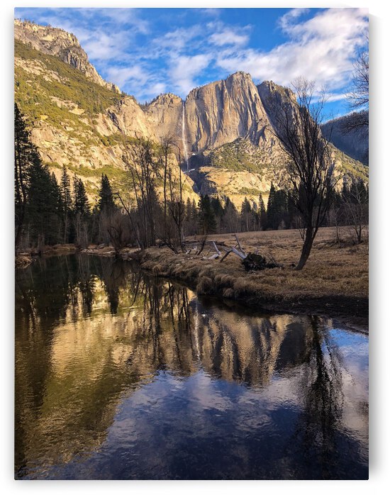 4DFB1455 1893 4AEE 8355 82AC0DF2152B by Andy W