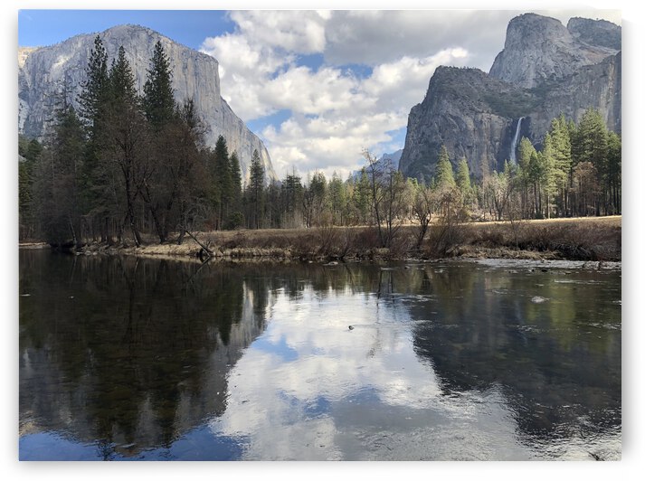 1CC40854 24FE 40CE 9DD3 FDAE7CC01EDF by Andy W