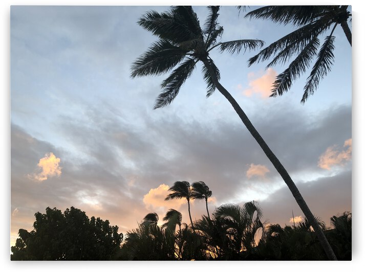 10A95183 E09F 4384 A8DF DD30FF706EAF by Andy W