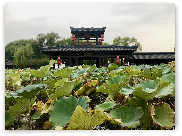 25BB8EF1 1EC0 447B 86D0 6D9F93B1E7B5 by Andy W