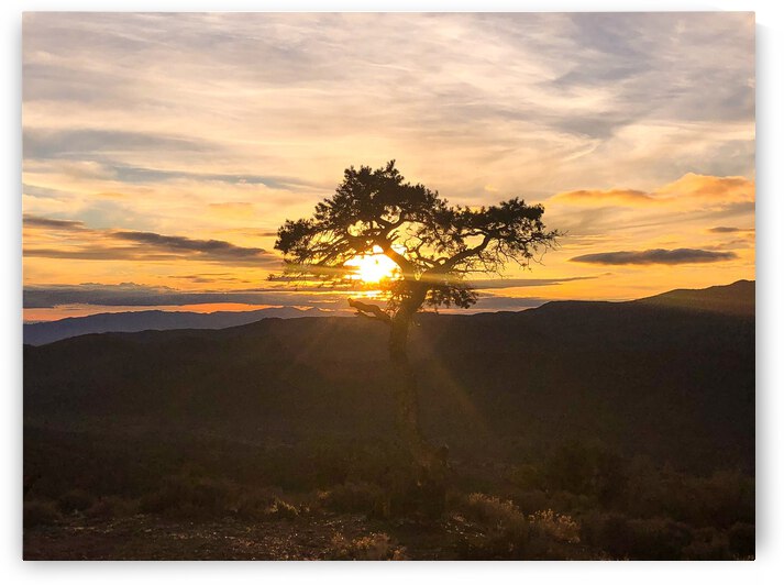 485BD6F5 B97B 4358 8047 908978FFC7DA by Andy W