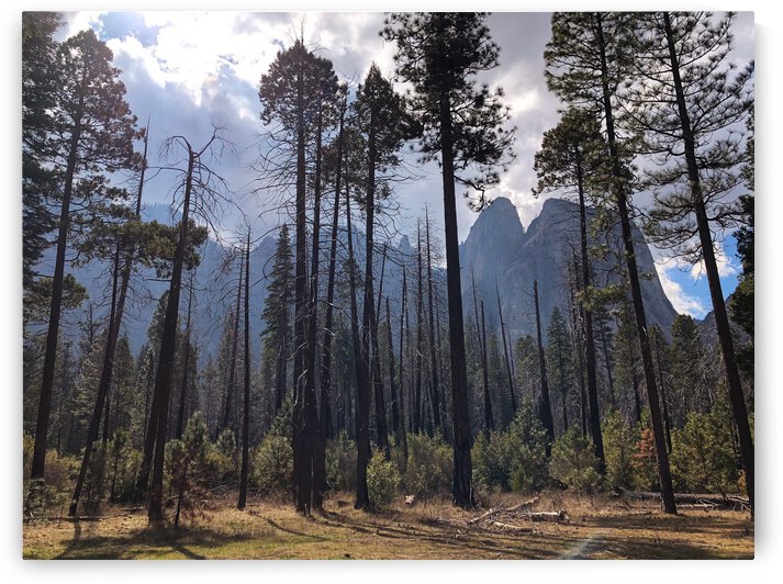 AA5426E9 F075 47EC BEB4 F82C7281DD32 by Andy W