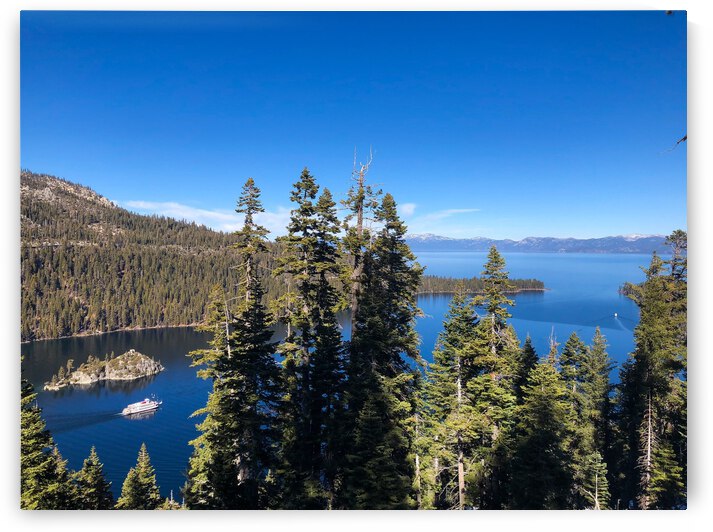 85E1F58C 4291 427E 8186 C5FFBE7B4C7D by Andy W