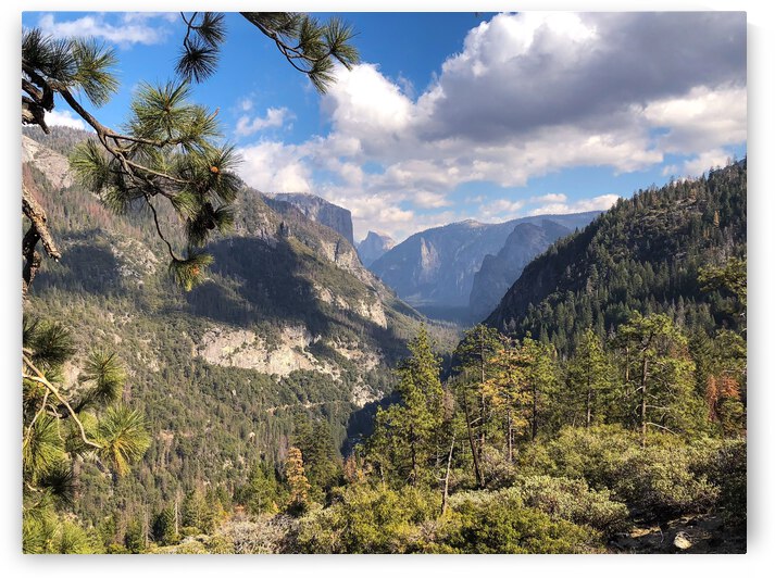 F9032C29 A53C 4CC7 88D4 33D0A0526FEF by Andy W