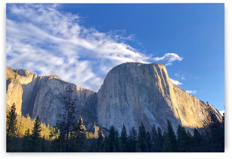 9EEF9E31 8F5F 4956 9A40 D47744A65F8C by Andy W