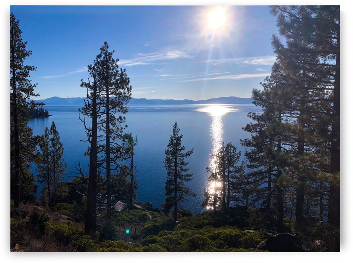 67E0E448 6DAD 4B09 942D 1D3C2D45ADA9 by Andy W