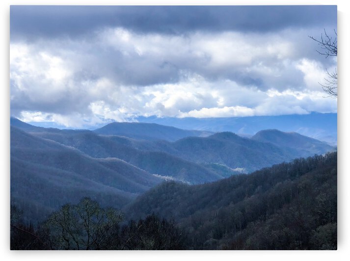 5BB079D9 2E8B 4D2C 8FFD B65971030490 by Andy W