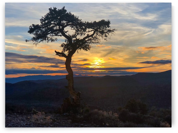 E21A024B 2983 4AC4 8FAE E5A074F20F8E by Andy W