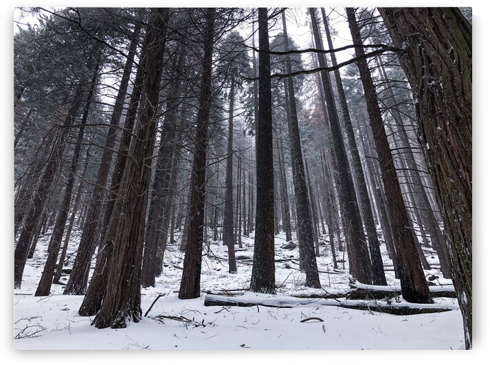 39543A99 0BC6 4A1D A9BF E3EF00DED00F by Andy W