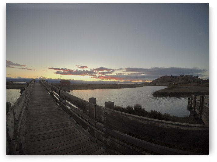 CCA244D8 1485 439A 893A E91D6DC9A01C by Andy W