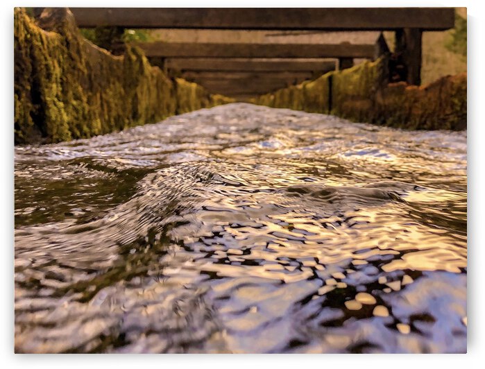 DE809F1B F8D7 4035 AE5B 065EC7A7430A by Andy W