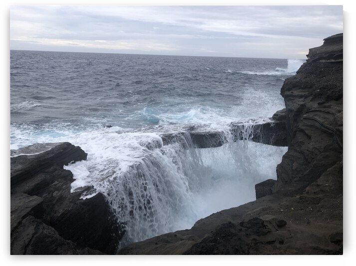 856A71F6 410B 48BD 80E0 6C194E4F2B69 by Andy W