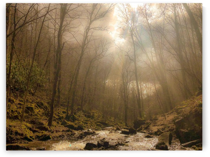 FF06CFC1 9C27 477A A913 5F4AEBB53D1D by Andy W