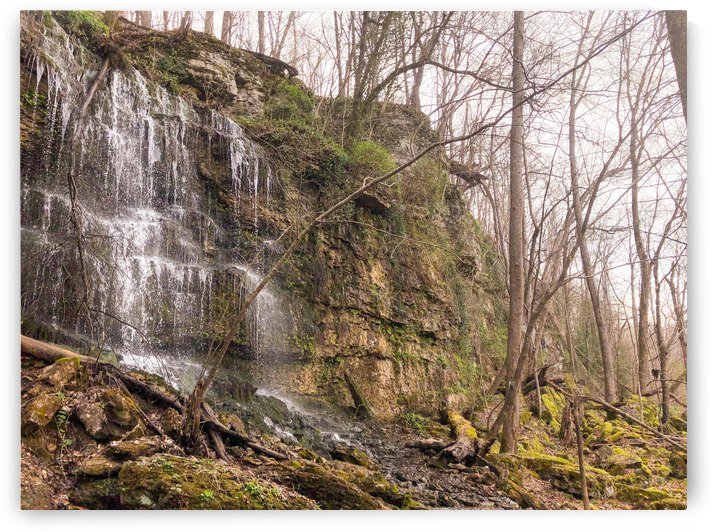 50F3DAE2 0BA7 4EBA 9904 2BC4EFEE4E48 by Andy W