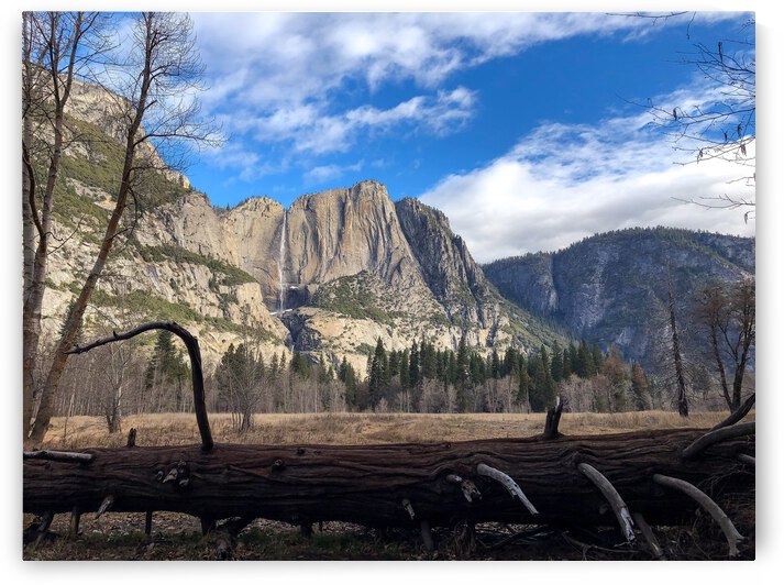 5CBDC632 0FBC 4DE8 8B5F 356DC8FE1462 by Andy W