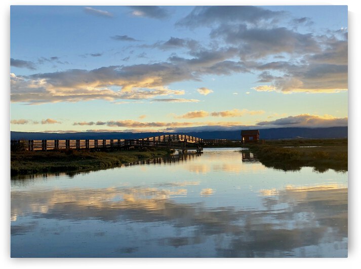 341DC2F4 A517 44C8 8ADA 98C344FCAEFF by Andy W