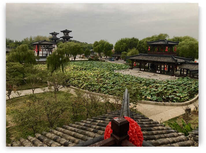 336DEC22 07E1 440A A2DD 61506001B2AD by Andy W