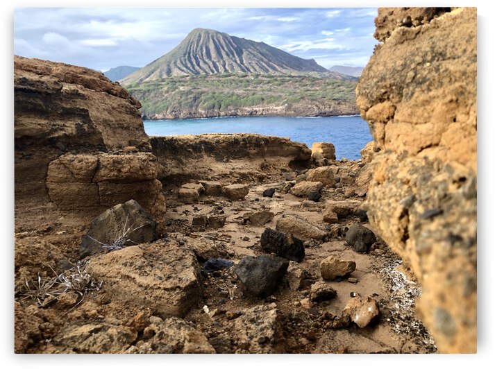 AF09C7D2 32E7 40BE 84C1 106CC0492DC5 by Andy W