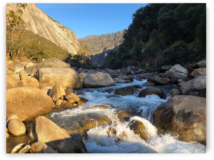 43E71DD6 0109 4344 B1C0 5EA87322D395 by Andy W