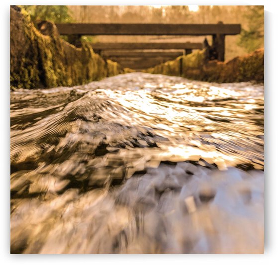 6010E175 B74A 4811 A3AA DEFCAE553752 by Andy W