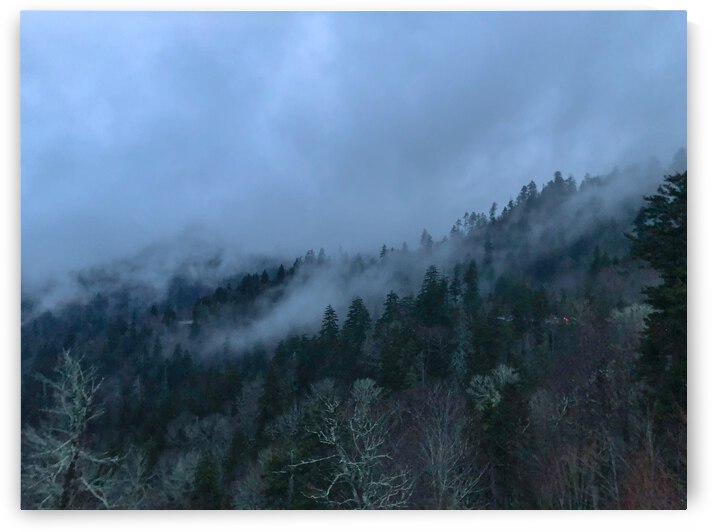 76EB2A53 D340 44C0 82BC E52D62DAB2CB by Andy W