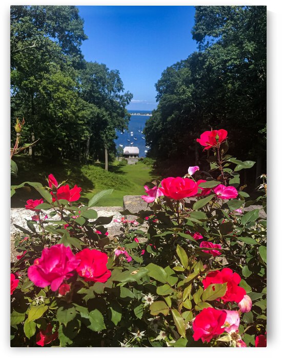 10840E97 4610 49B8 8857 C04A87F5EB22 by Andy W