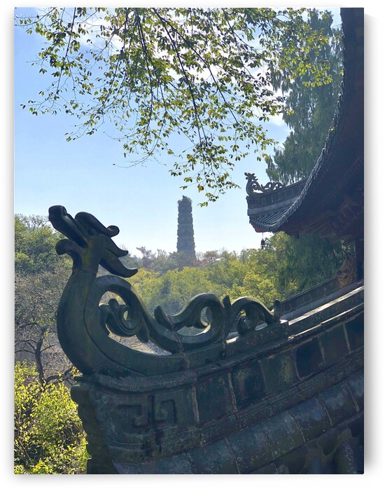 58B91782 DA13 4360 AC34 CADA597C5BCB by Andy W