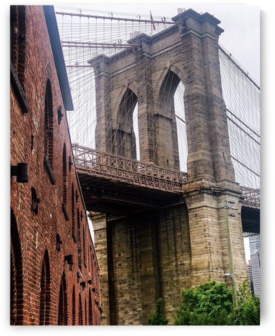 E8830D79 0667 49CB 82AB E90D7411B319 by Andy W