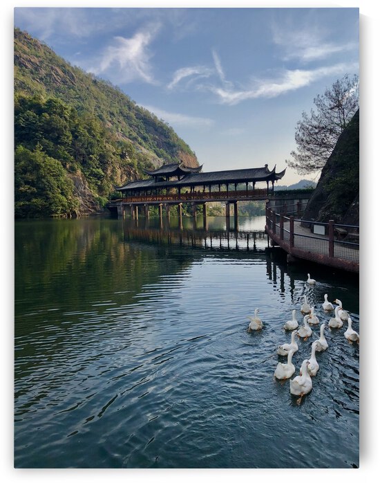 D08F52CA 9388 45D1 8A53 80A2C65545CC by Andy W