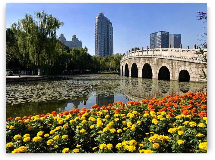 39A18677 BC5C 4E56 A736 A28BA921E92E by Andy W