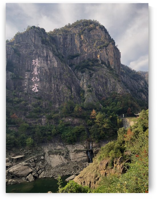 8C40293A BF1A 4EF5 9FFE 9DD54358AAA9 by Andy W