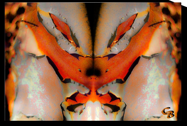 Saison du homard by Colette Bordeleau