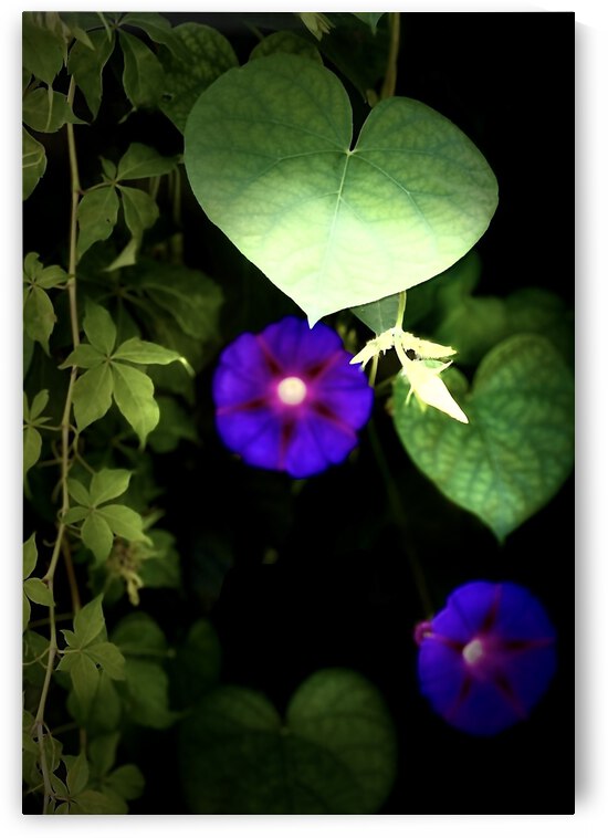 247FB480 0C9E 4C2D B61D DB7CF9616CAC by shadowmaud