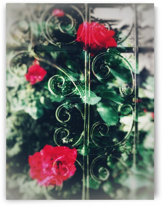 018CC72E 1895 4479 9C75 42B7504E76F3 by shadowmaud