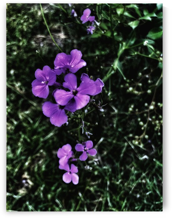 9A0CA0D8 1CB1 42C3 9CA2 CCF4751CBA0B by shadowmaud