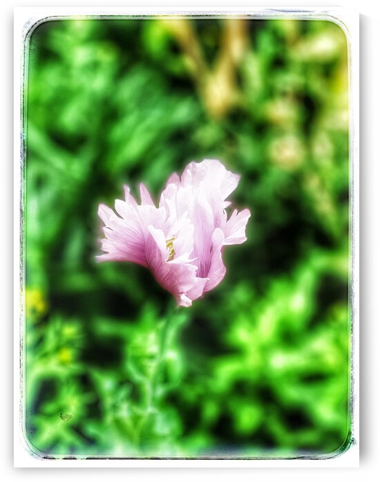 93E6D5A5 D3FB 47D8 B7FE 1ACA1123AE49 by shadowmaud