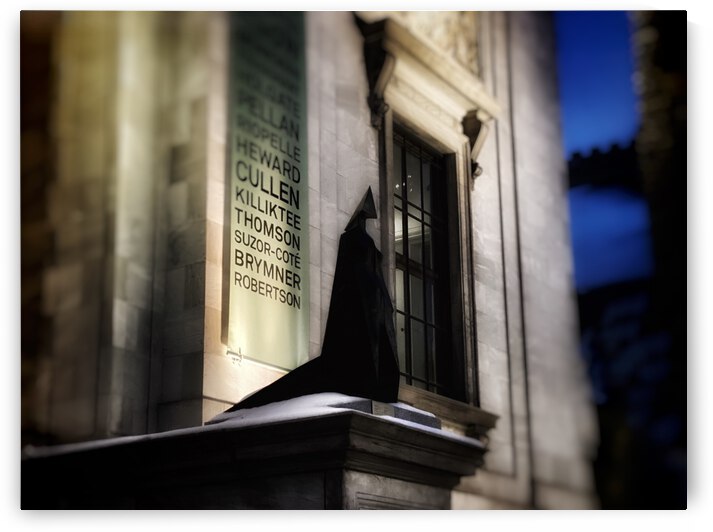 09833220 B154 4FB9 B252 6E8078331F2F by shadowmaud