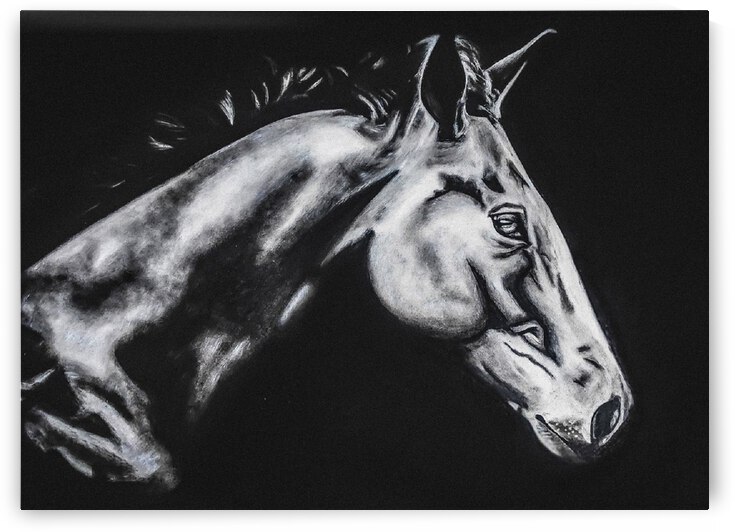 dark horse by abhi 2 orig by Abhijeet Shrivastava