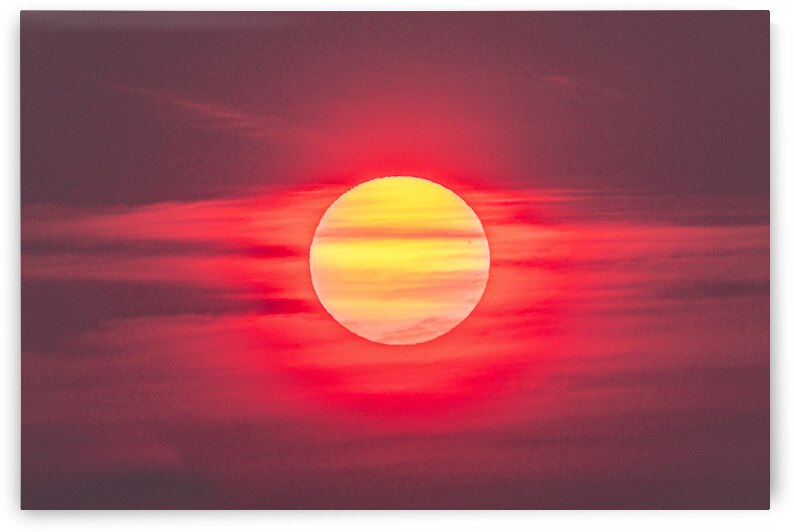 Blinded By the Light  by Joe Riederer