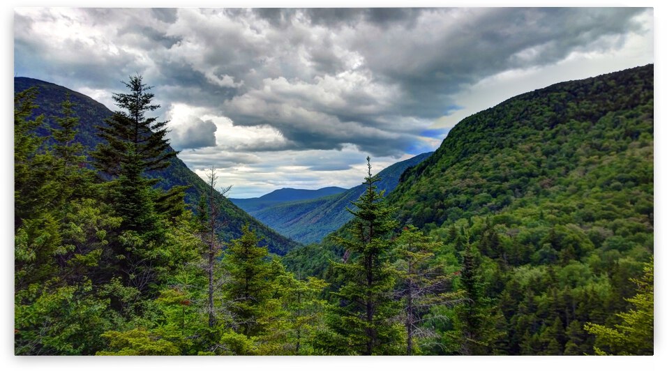 HDR143 by Holly Heath