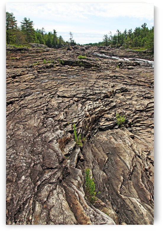 Uphill Climb To The Falls by Deb Oppermann
