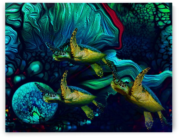 Turtles en Saison 8 by Aldane Wynter