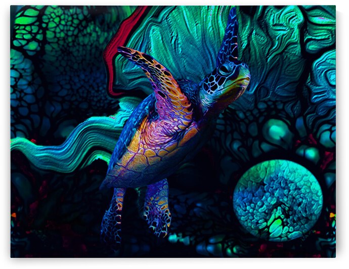 Turtles en Saison 1 by Aldane Wynter