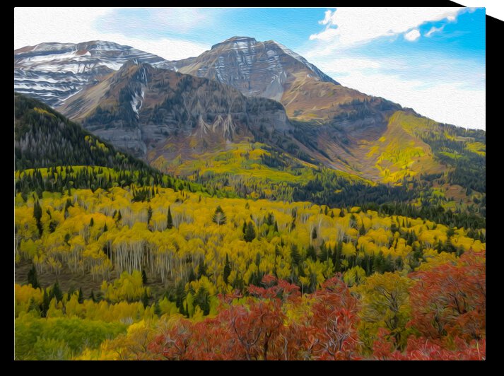 7032 by Stephen Taylor