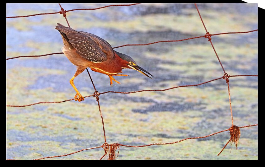 Getting In Position by Deb Oppermann