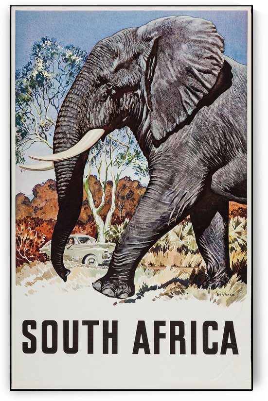 South Africa Travel Poster by VINTAGE POSTER