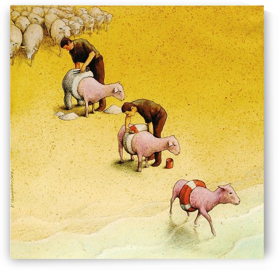 Sheep by Pawel Kuczynski