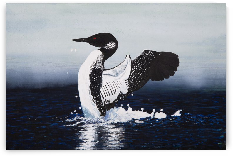 Common Loon Painting by Stephen Emms