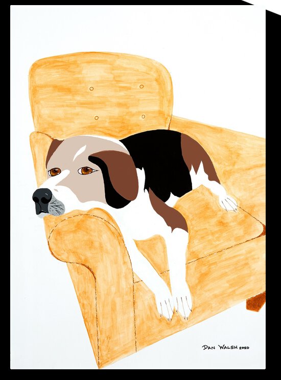 Coon Hound Dog on a chair    by Candace Frankland